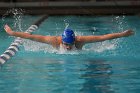 Swimming vs Bentley  Wheaton College Swimming & Diving vs Bentley College. - Photo by Keith Nordstrom : Wheaton, Swimming & Diving